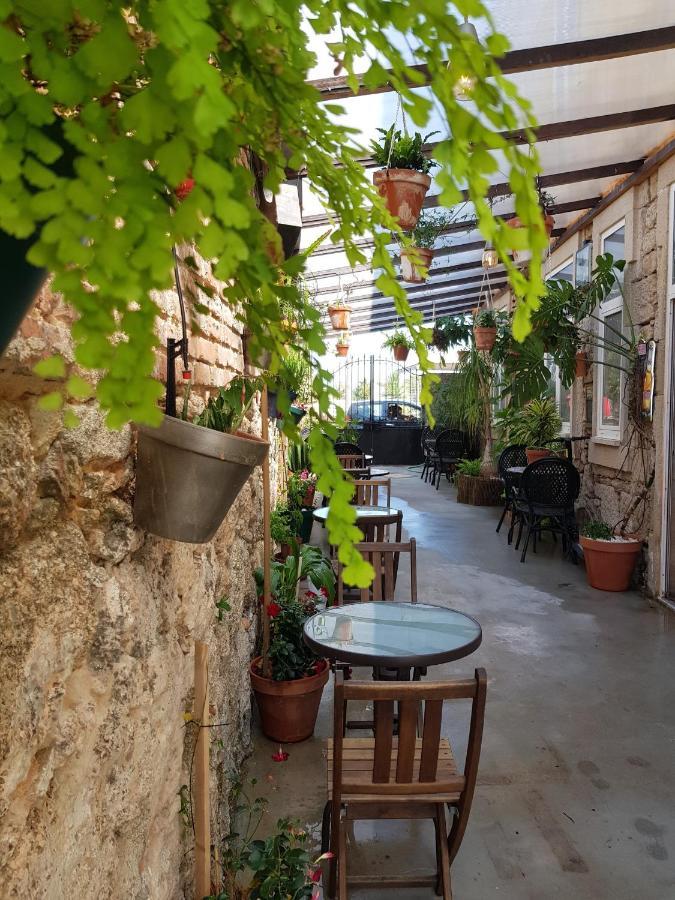 Garden Place Alojamento Local Viseu Extérieur photo